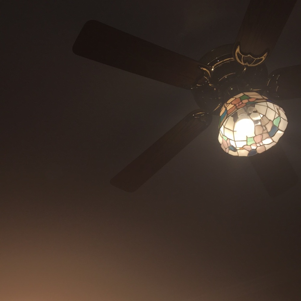 Meet your Posher, Holy